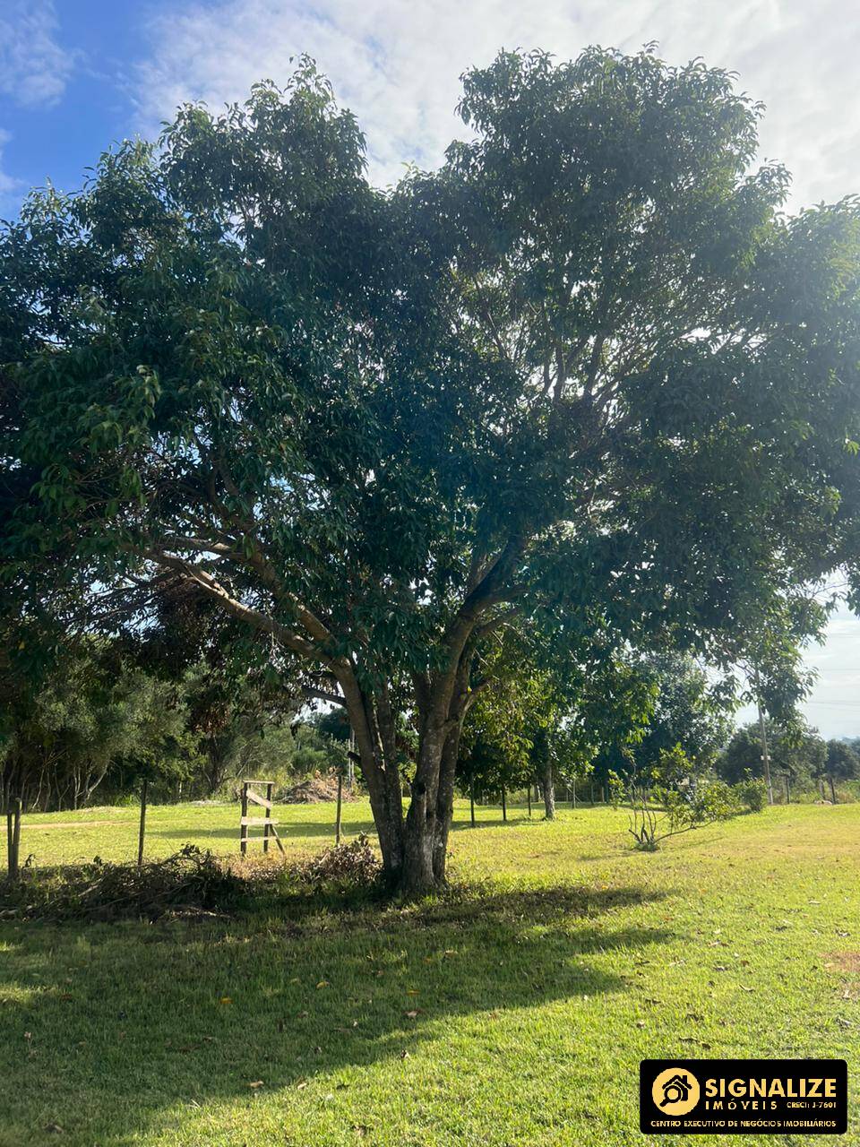 Fazenda à venda com 10 quartos, 400m² - Foto 3